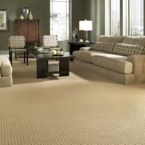 carpet in living room | Endwell Rug & Floor | Endicott and Oneonta, NY