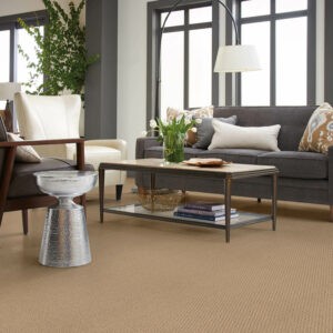 carpet in living room | Endwell Rug & Floor | Endicott and Oneonta, NY