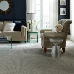 Pet friendly carpet | Endwell Rug & Floor