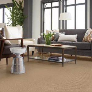 Carpet flooring | Endwell Rug & Floor