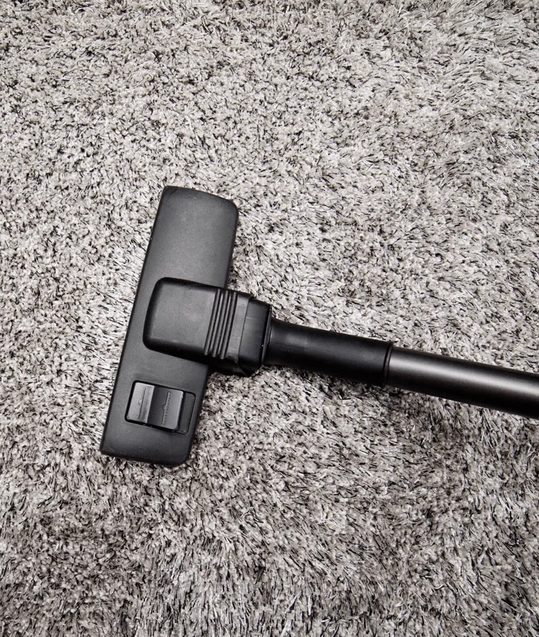 Carpet care | Endwell Rug & Floor